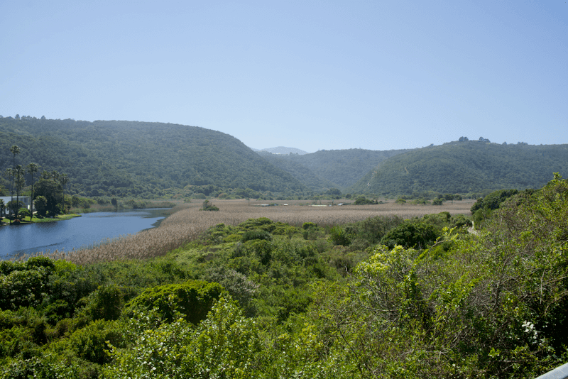Südafrika_garden route_Wilderness Nationalpark