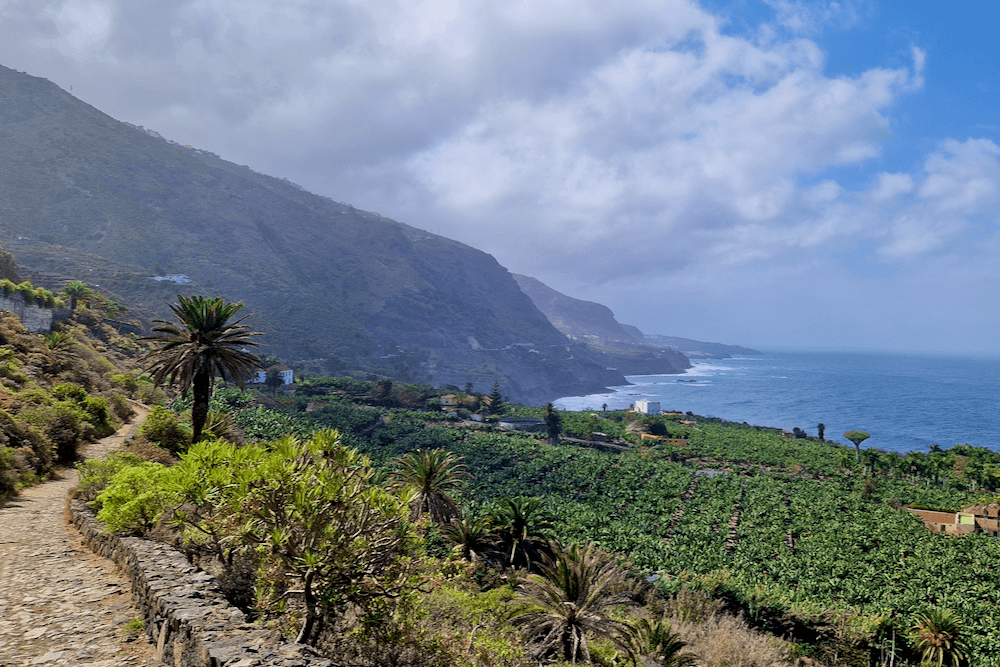 Teneriffa Rambla de Castro