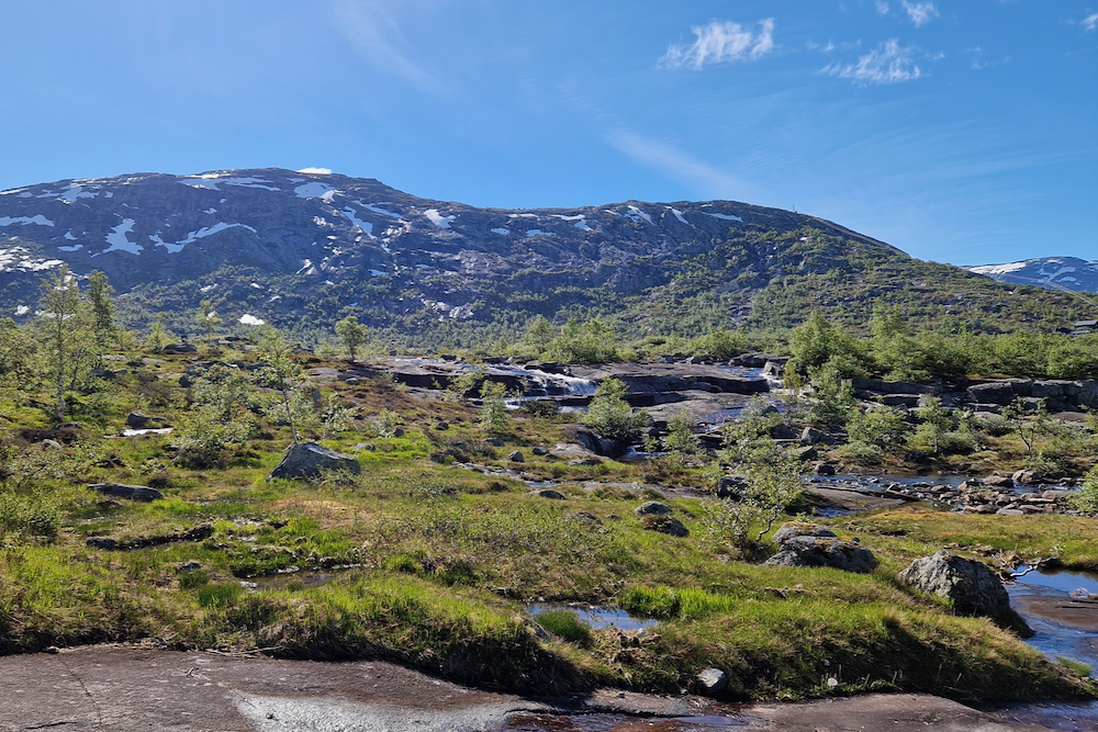 Trolltunga Sommer