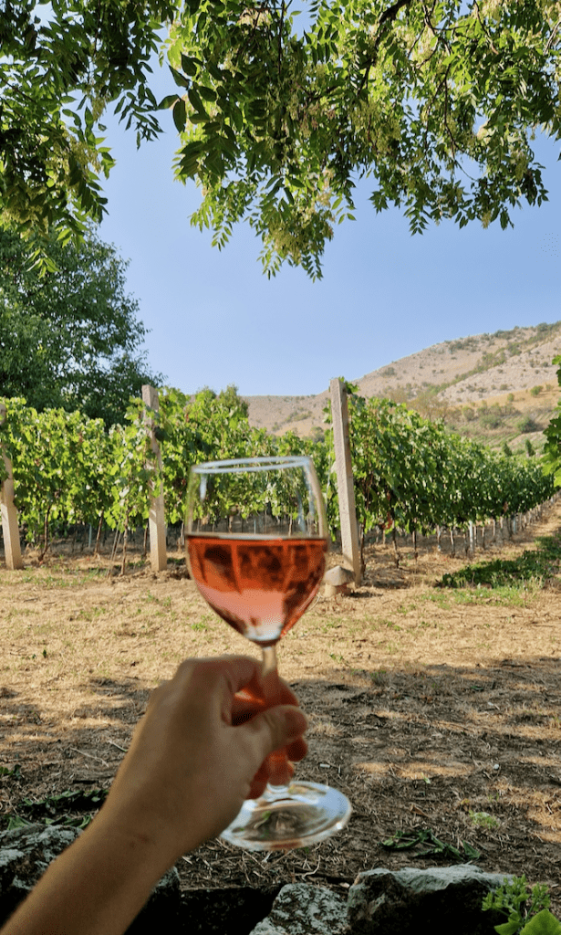 Villány Weintasting