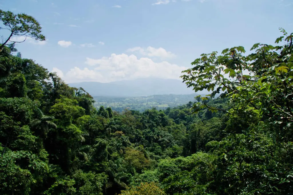 Costa Rica Sehenswürdigkeiten Nationalpark