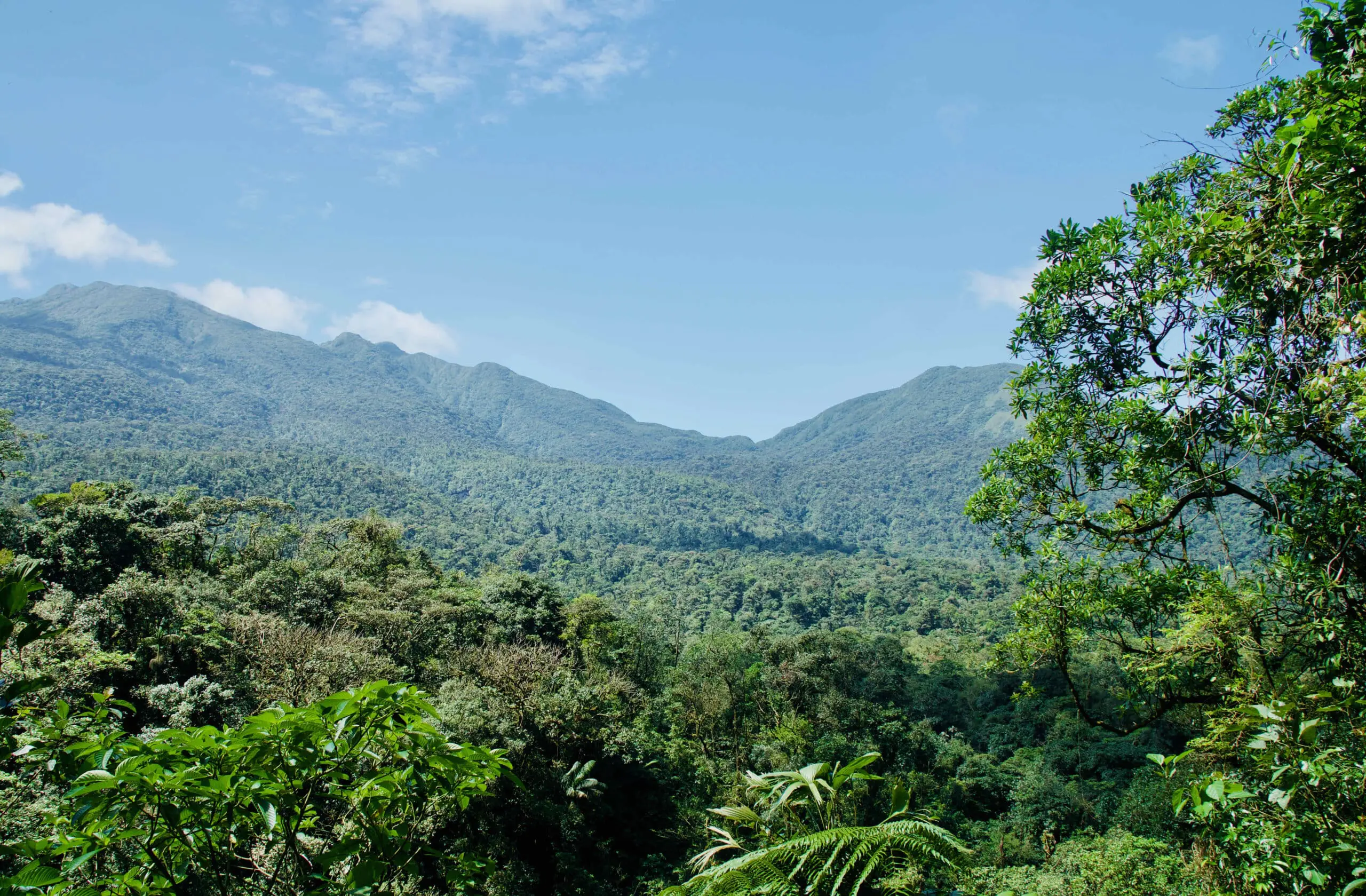 Costa Rica Naturschutz