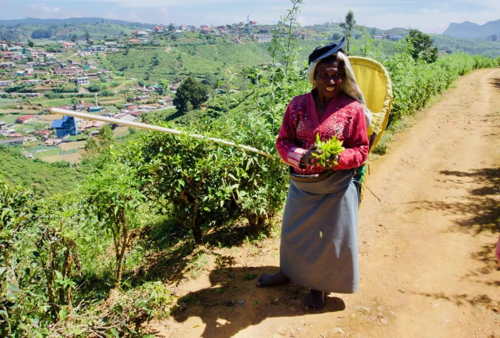 Nuwara Eliya