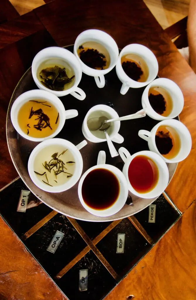 Teeanbau Sri Lanka
