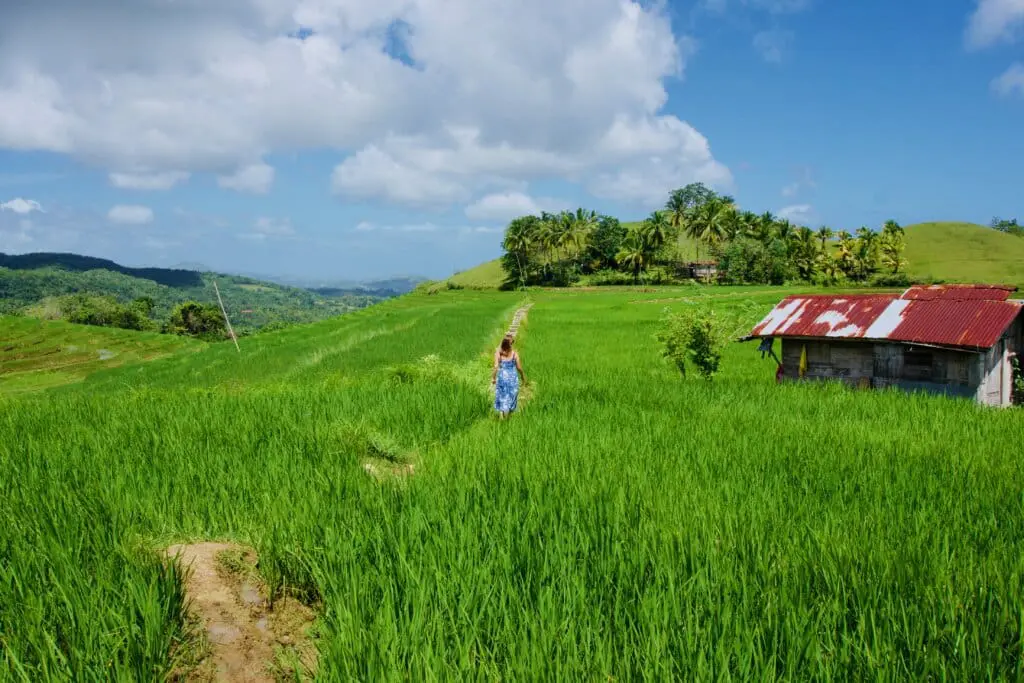 Candapdapan Rice Terraces