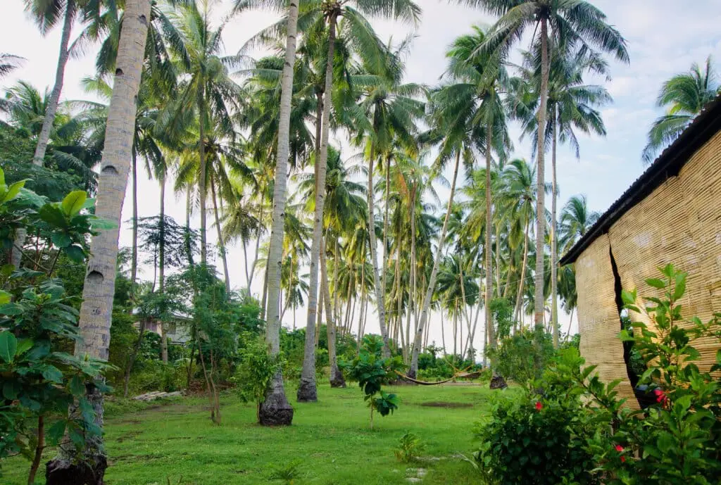 Bahandi Beach Lodge