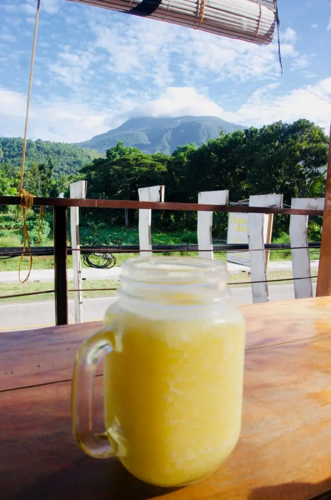 Camiguin Vegan Essen