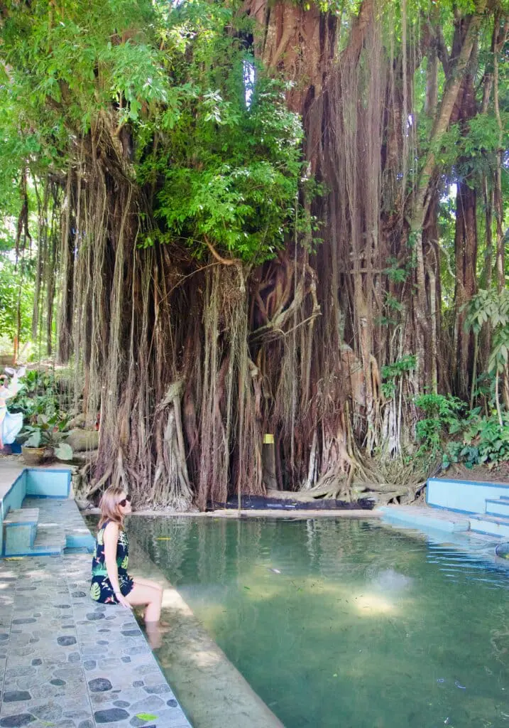 Siquijor Balete Tree