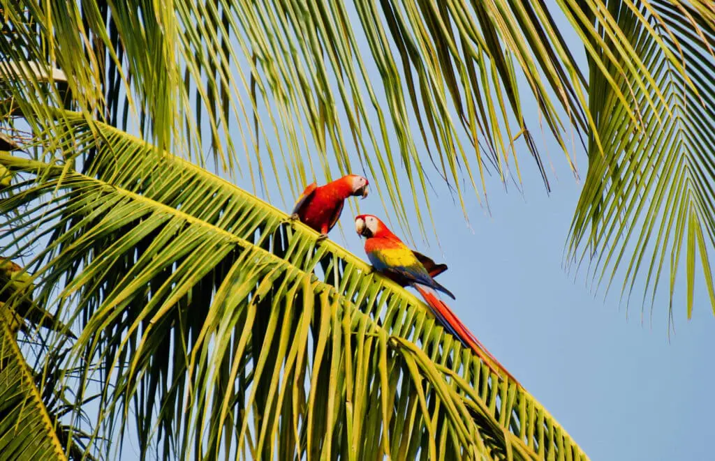 Costa Rica Sehenswürdigkeiten