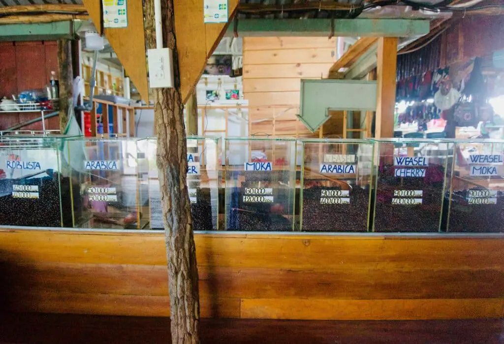 Dalat Kaffeetour