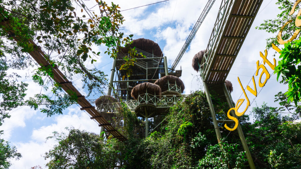 Zipline Puerto Morelos