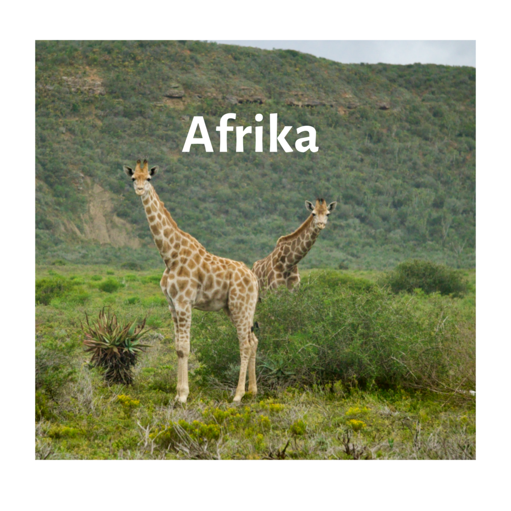 Reiseziel Afrika