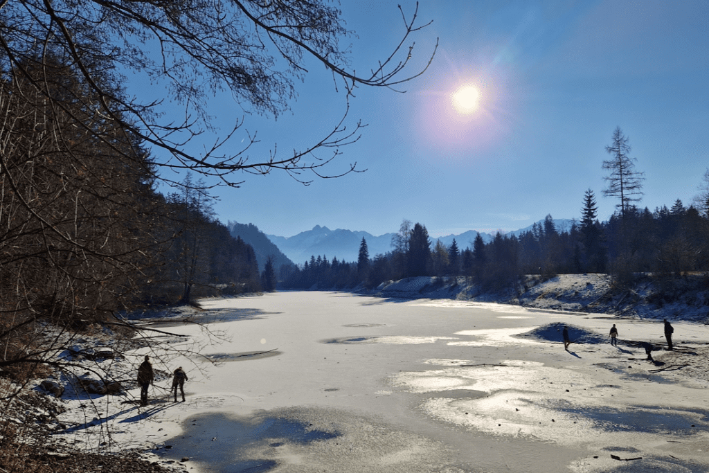 Fischen Auwaldsee