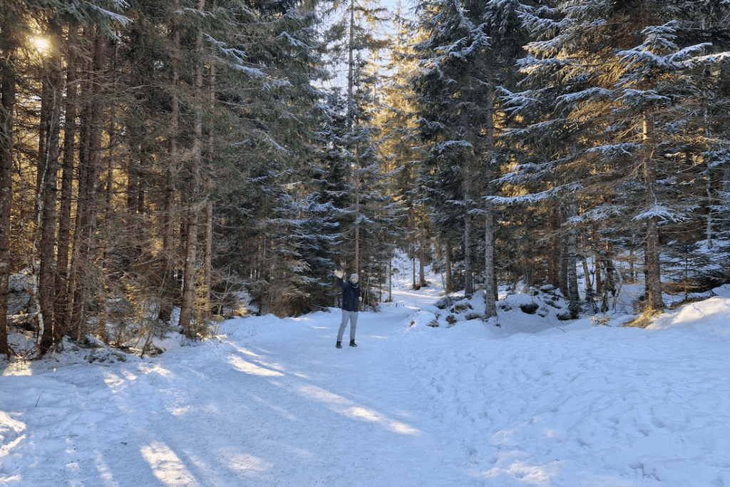 Tannheimer Tal Wandern