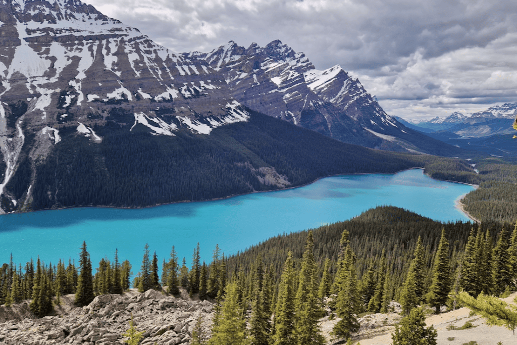 Banff Nationalpark Peyto Lake