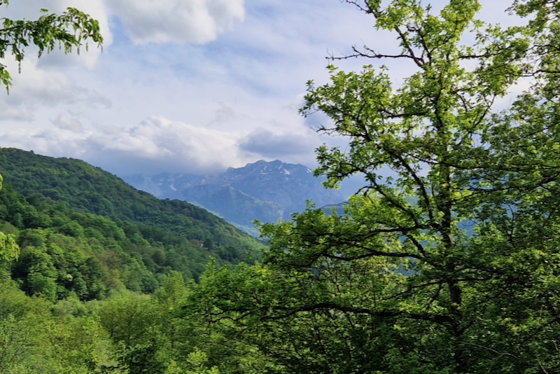 Bosnien-Herzegowina Urwald Perućica