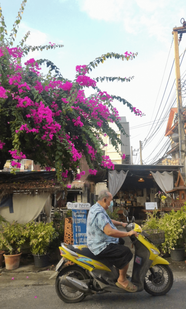 Chiang Mai Alstadt Gassen