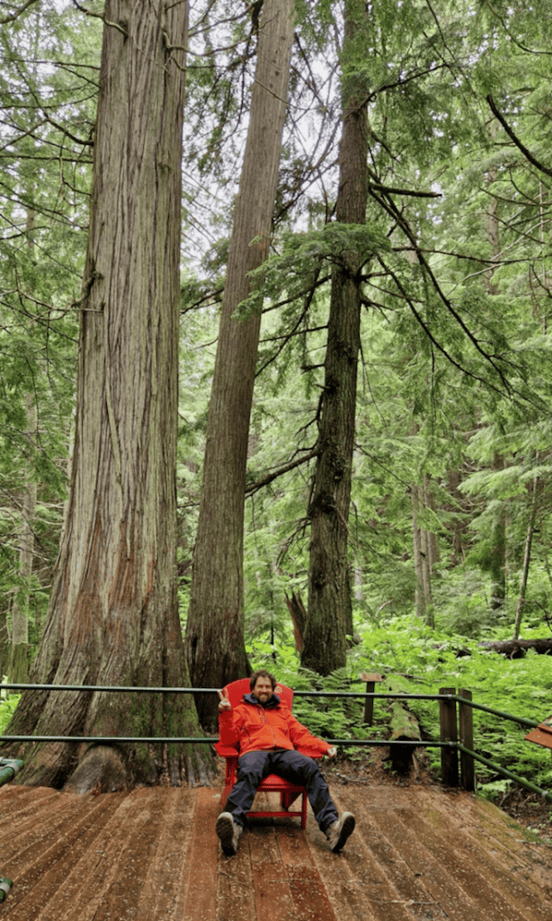 Glacier Nationalpark Kanada Hemlock Grove Boardwalk rote Stühle