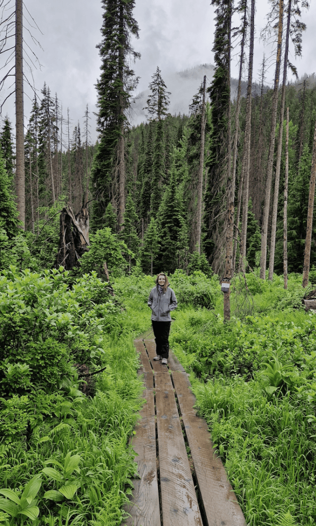 Glacier Nationalpark Kanada Rockgarden Trailhead
