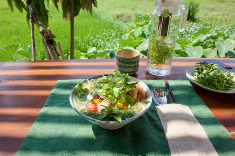Hoi An Xoai-Macrobiotic Living