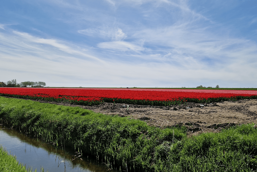 IJsselmeer Sehenswürdigkeiten_schönsten Orte Friesland