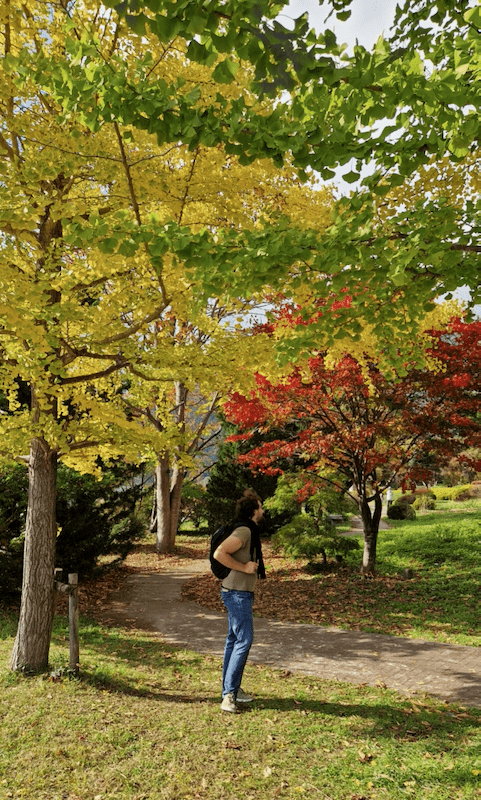 Japan Kawaguchiko Herbst