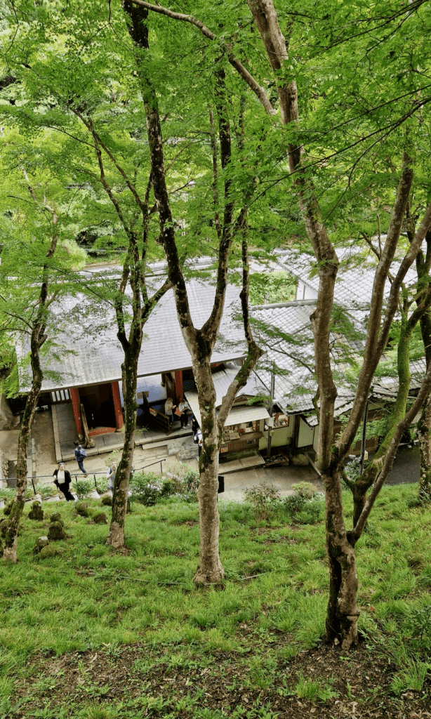 Adashino Nenbutsuji Tempel Wald Kyoto