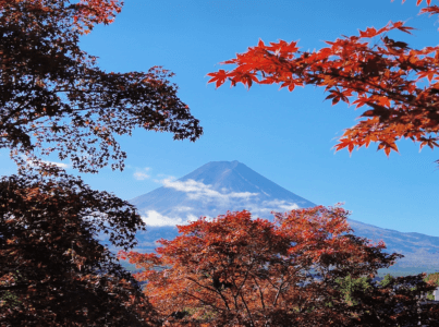 Kawaguchiko: Die besten Ausblicke auf Mt. Fuji