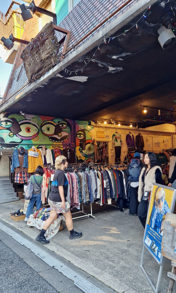 Shimokitazawa Vintage Shopping