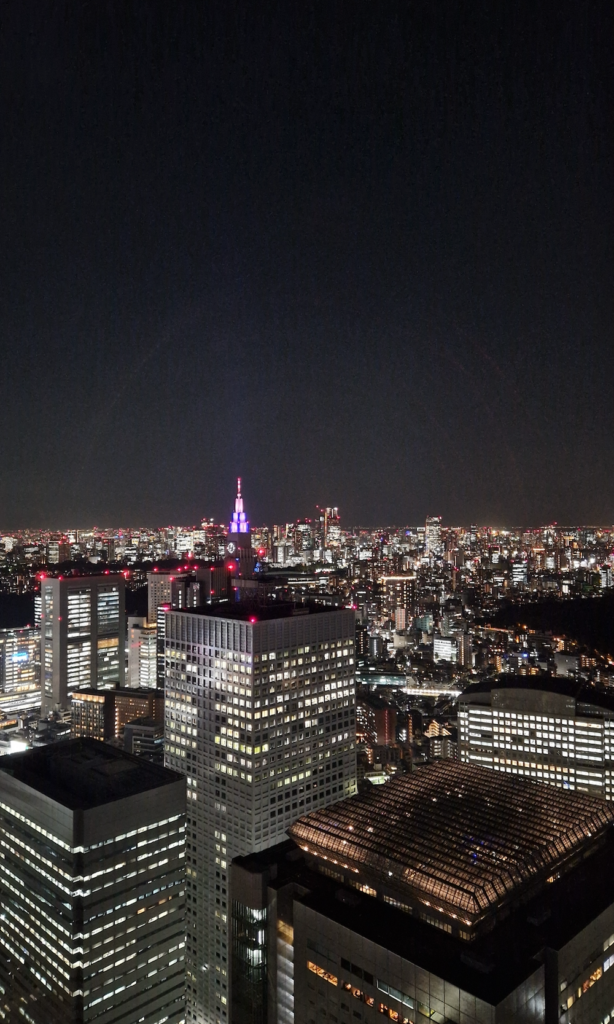 Tokyo Government Building Aussicht