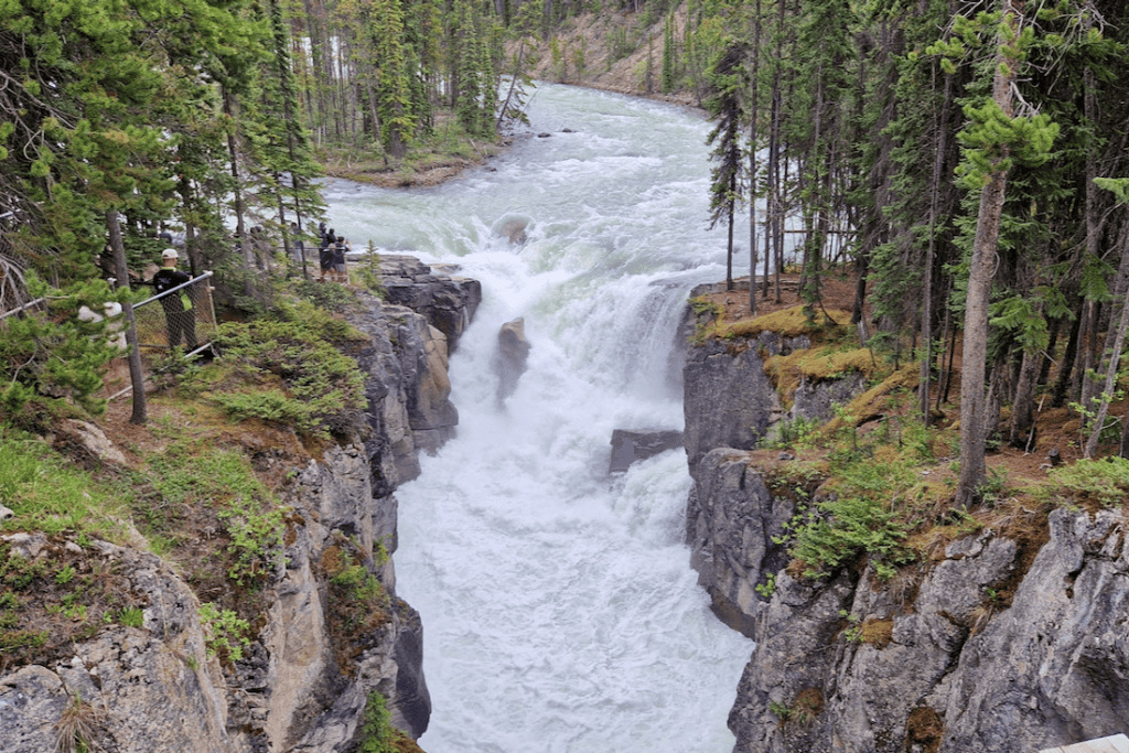 Jasper Nationalpark Sehenswuerdigkeiten Sunwapta Falls