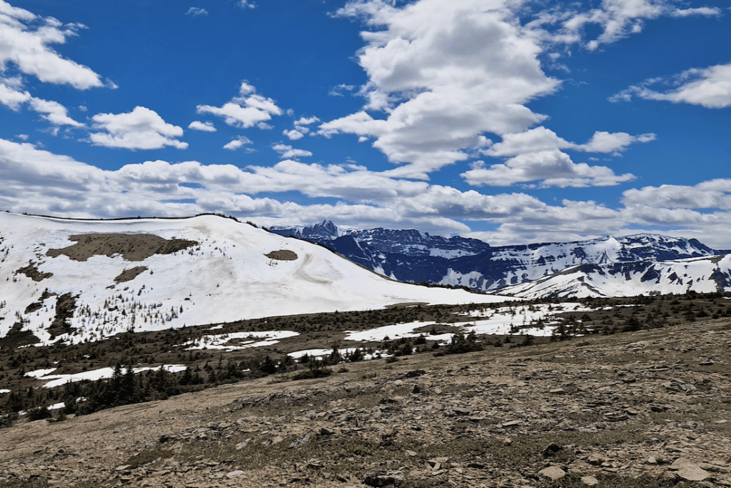 Jasper Nationalpark Wanderungen Bald Hills Trail Aussicht