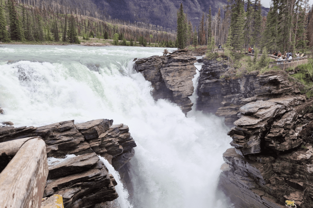 Jasper Nationalpark Athabasca Falls