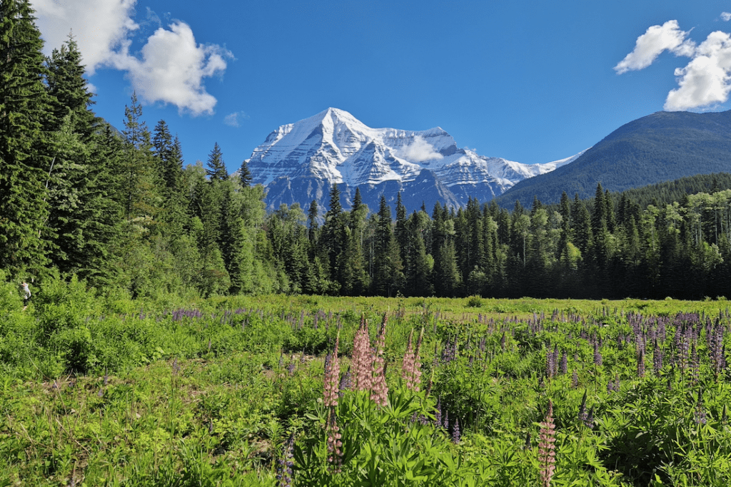 Rocky Mountains Mount Robson