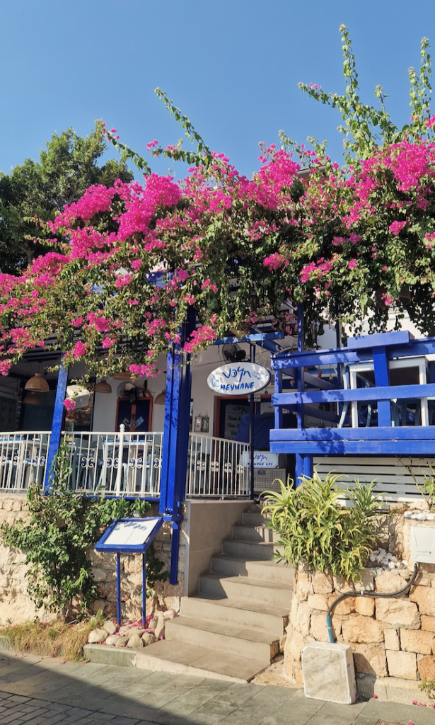Kaş Altstadt Bougainvillea