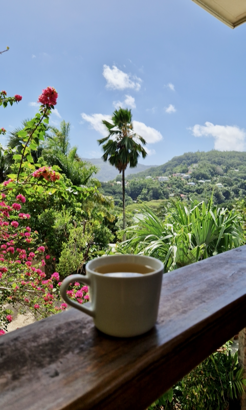 Mahe_ Anse Soleil Resort