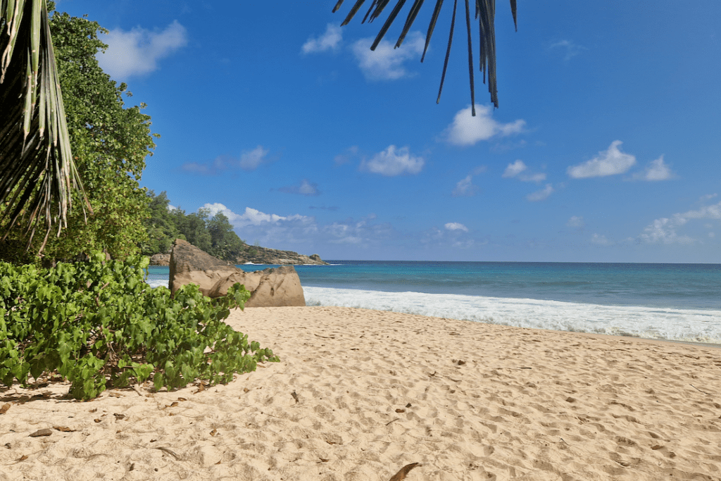 Mahe Anse Interdance