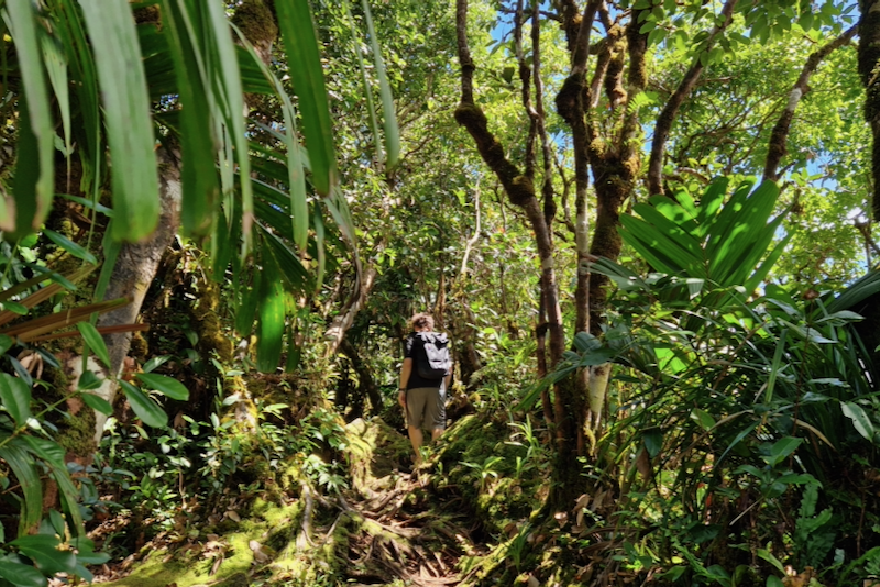 Mahe Sehenswürdigkeiten Morne Blanc Trail