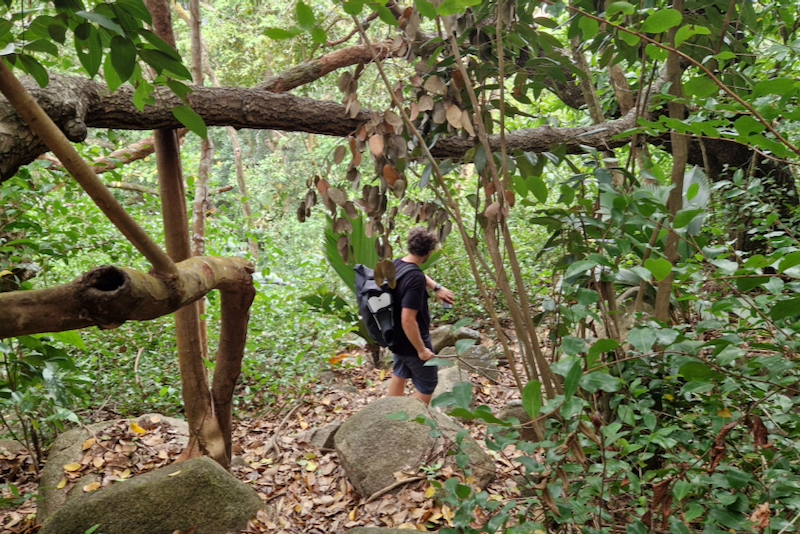 Praslin Anse La Farine Wanderung