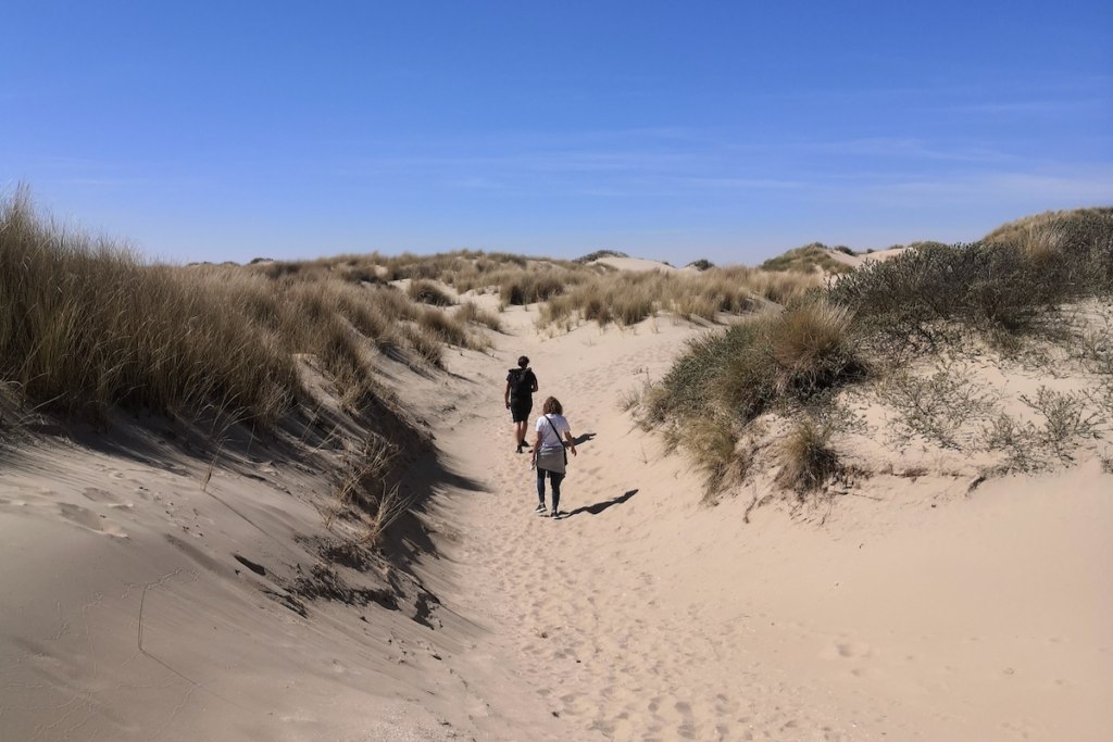 Rockanje Voornes Duinen