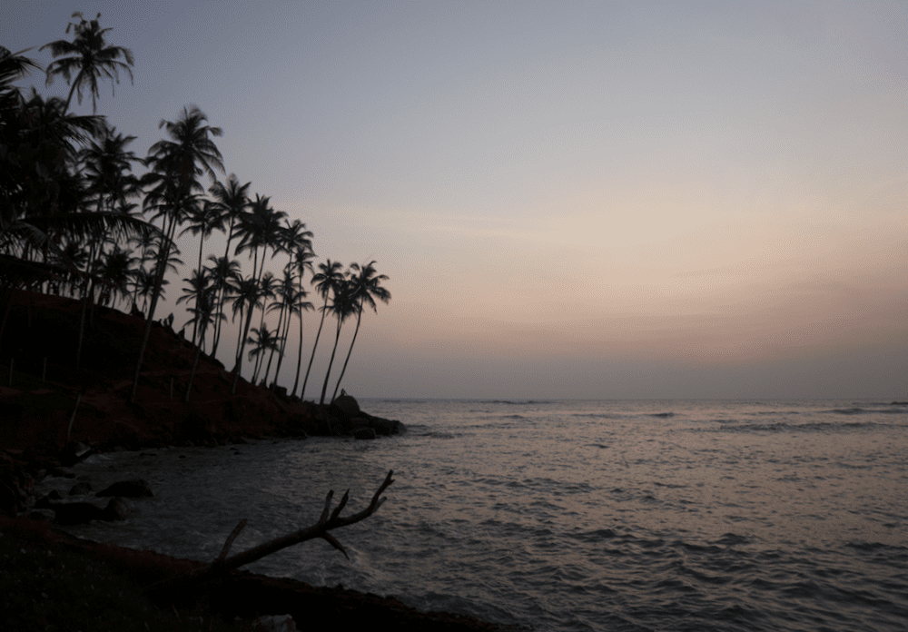 Sri Lanka Rundreise 2 Wochen Mirissa