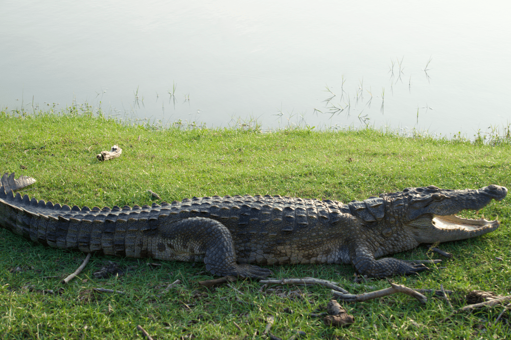 Sri Lanka Rundreise Kumana Nationalpark