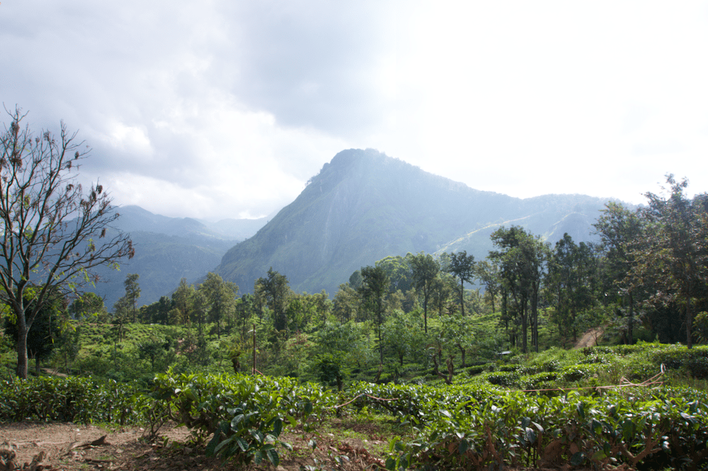 Sri Lanka Sehenswürdigkeiten Ella Rock