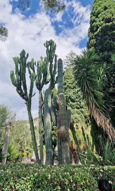 Taormina Parco duca di Cecaro