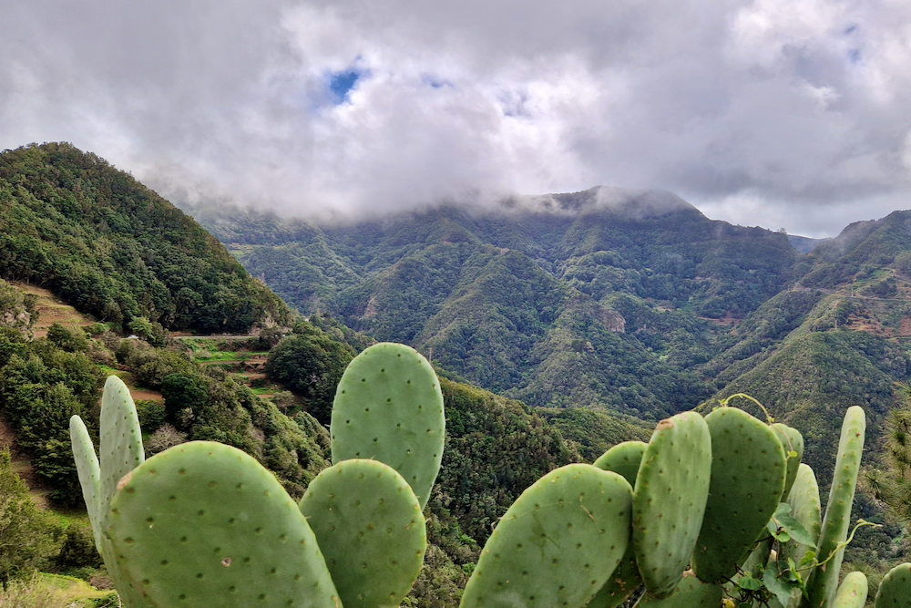 Teneriffa Taborno Wanderung