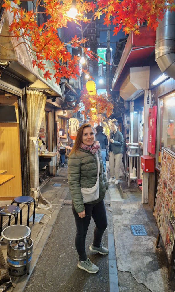 Tokyo Sehenswuerdigkeiten Omoide Yokocho Memory Lane