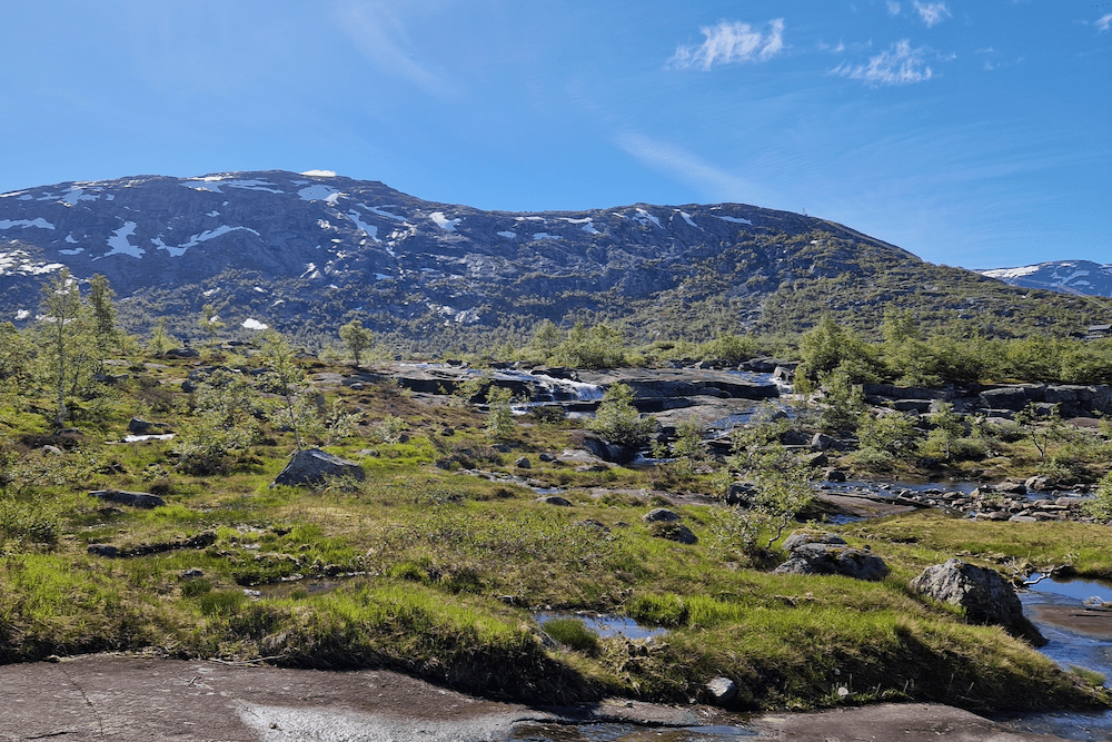 Trolltunga Sommer