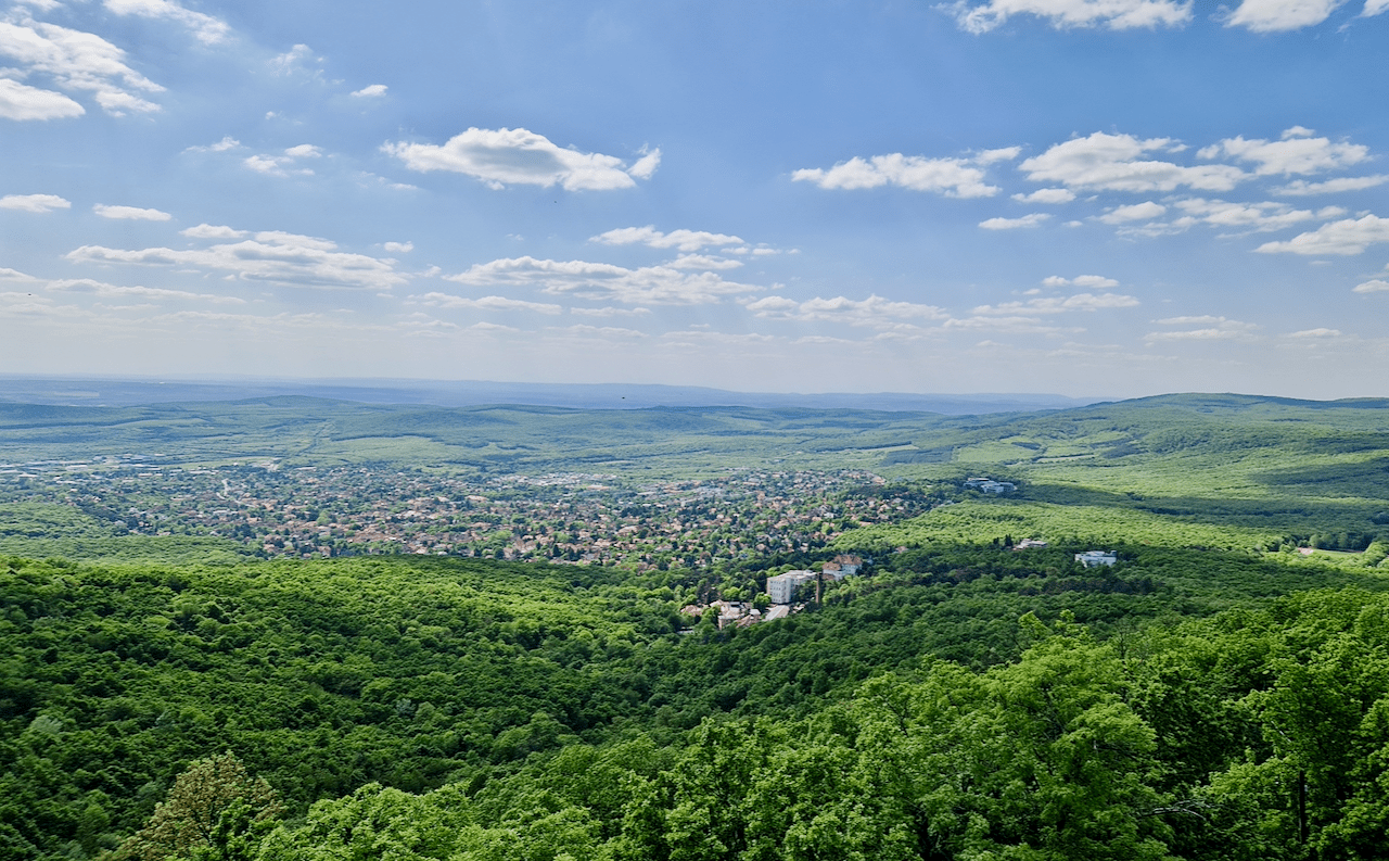 karodelmar