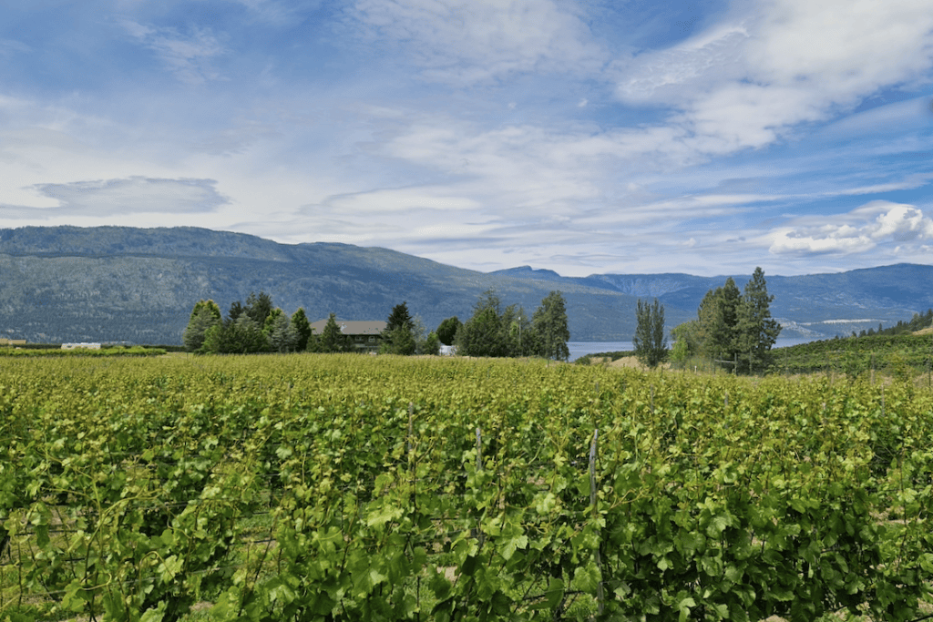Vernon Kanada Weinprobe