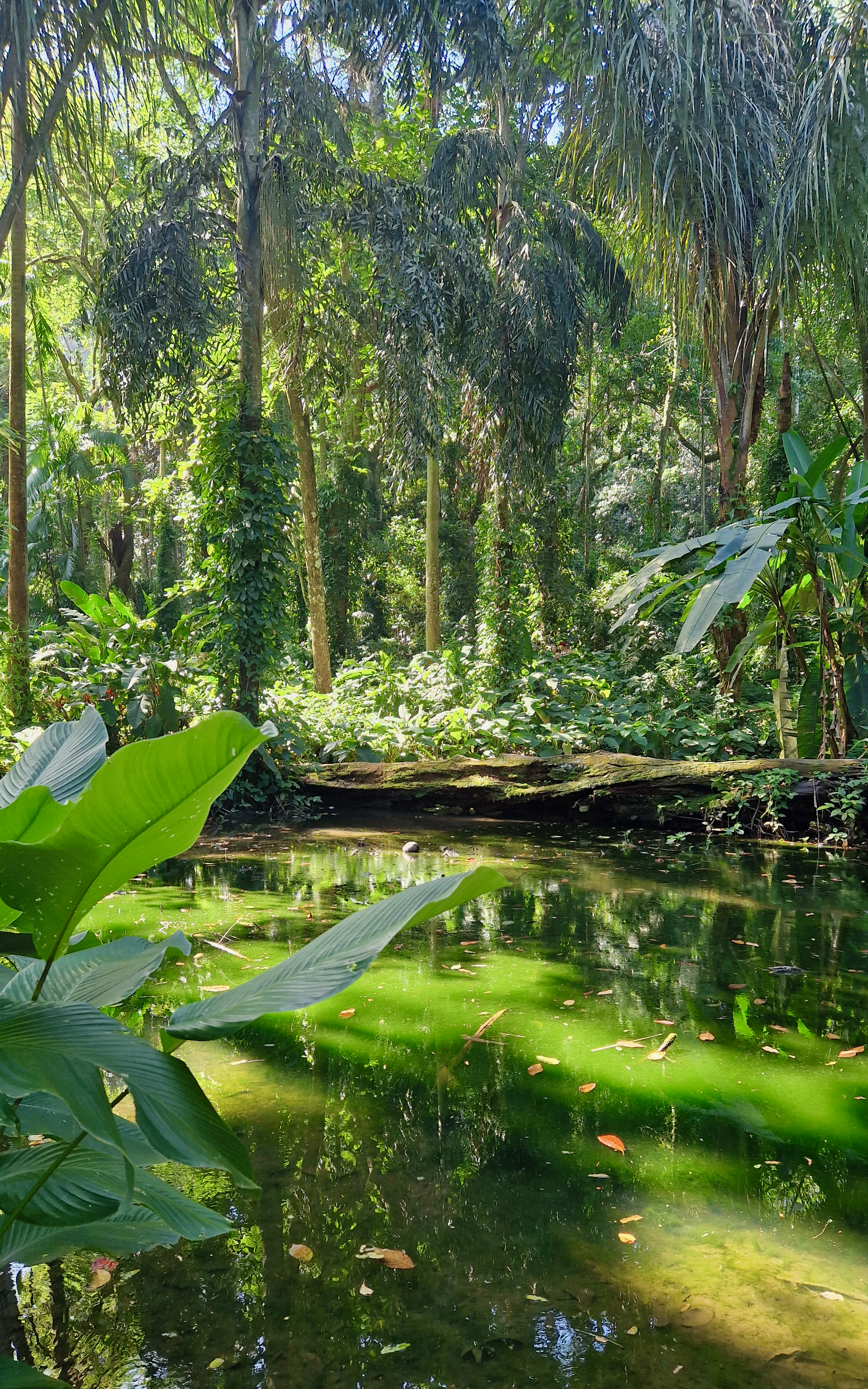 Brasilien Rio Park Lage